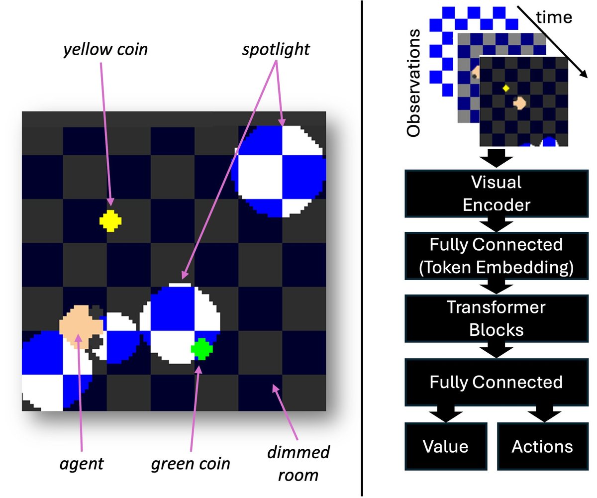 Игра &laquo;Две монеты&raquo;. (Справа): Архитектура сети, используемая для обучения агента.